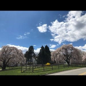 Meet your Posher, Beth